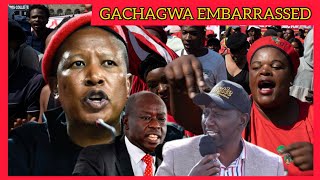 PANICKED Gachagwa FORCED to SHUT UP his Mouth Regrets Malema WAR as Angry South Africans Unveils [upl. by Ait439]