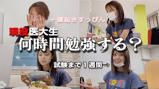 【試験勉強vlog】試験直前の医学生がどのくらい勉強するのか測ってみた！ [upl. by Yelnek883]