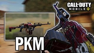 We Unlocked The NEW PKM Gun EARLY in COD Mobile [upl. by Mallina552]