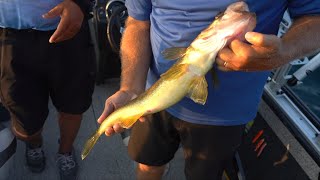 Mixed Bag Fishing From Tawas Michigan  Season 6 [upl. by Olympie717]