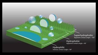 Wettability of Leaves [upl. by Sikram]