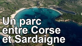 Un parc entre Corse et Sardaigne [upl. by Sueahccaz]