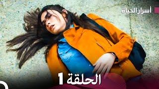 أسرار الحياة الحلقة 1 Arabic Dubbed [upl. by Lilias]