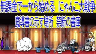 にゃんこ大戦争 魔導書の示す場所 禁断の書庫 [upl. by Boelter]