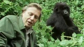 Sir David Attenborough  The story behind Life on Earth  BBC [upl. by Lime]