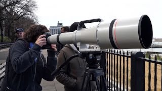 Quick Look  Canon Super Telephoto 1200mm f56L [upl. by Samau971]