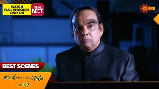 Swargavathil Pakshi  Best Scenes  23 Nov 2024  Surya TV Serial [upl. by Noslen]