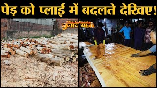 Making of Plywood देखिए Asia No 1 Ply Wood Industry Yamunanagar में  Haryana  Wood  Rajat Sain [upl. by Rosenblatt450]