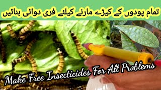 How To Make Organic Pesticide For All Plants  Podon Ke Keery Marne Ka Spray Bnane Ka Tarika [upl. by Eurydice677]