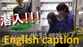 潜入 生物科学科 探検ツアー キャンパスフェスタ in 静岡 2015  静岡大学理学部 [upl. by Ellynad741]