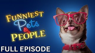 Toys  Funniest Pets and People  Season 4  Episode 14 [upl. by Airdnna]