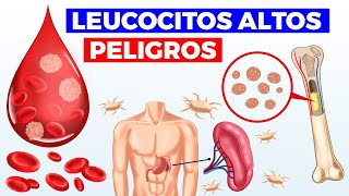 ¿Qué significan los LEUCOCITOS ALTOS causas PELIGROS y cuando acudir con tu médico [upl. by Magnus517]