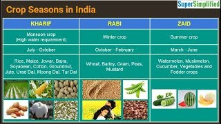 Cropping Seasons In India  Kharif Rabi Zaid [upl. by Anomis497]