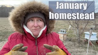 Missouri Homestead  One Year on Our Farm  January [upl. by Jannel]