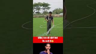 देखिए घास कि खेती कैसे होती हैं 😲reels videos virals terending viralvideoシ reels ghas kheti [upl. by Eniluqcaj]