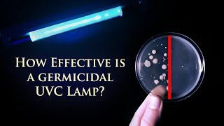 UVC Light or Ozone as a Disinfectant [upl. by Thadeus]