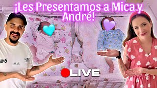 LES PRESENTAMOS A MICA Y ANDRÉ LaHoraArcoíris 19 [upl. by Bella]