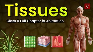 Tissues Class 9 full chapter Animation  Class 9 Science Chapter 6  CBSE  NCERT [upl. by Hadley]