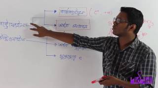 05 ReagentsElectrophile and Nucleophile  বিকারক ইলেক্ট্রনাকর্ষী ও কেন্দ্রাকর্ষী [upl. by Farmelo869]