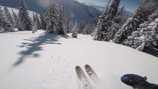 Powder Skiing  Revelstoke British Columbia [upl. by Pippa]