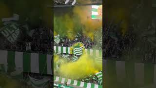 Hammarby IF  IFK Göteborg  Tifo  2024 [upl. by Rothschild]