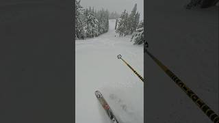 First run of the pow day skiing [upl. by Niel]