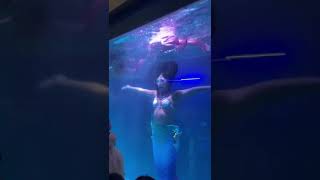 Perinthalmanna Mariane expo mermaids 1st time perinthalmanna trendingshorts [upl. by Padegs21]