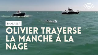 Olivier Folcke traverse la Manche à la nage  Thalassa reportage complet [upl. by Enilarak812]