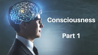 Consciousness Part 1 Is Consciousness Physical Processes in the Brain [upl. by Benkley154]