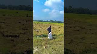 Aghuno potharot Assamese song zubeen garg [upl. by Aehtorod894]