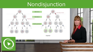 Nondisjunction Chromosomal Disorders amp Aneuploidies – Medical Genetics  Lecturio [upl. by Brewster]