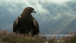 Fahrtziel Natur Graubünden Schweiz [upl. by Ardna]