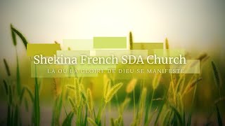 Shekina French SDA Church  Service du Sabbat  Youth Weekend  19 Octobre 2024 [upl. by Katharina]