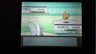 How to find Slakoth and Combee Pokemon Heart gold Soul silver [upl. by Marius415]