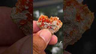 Red wulfenite from China mineral minerals crystals gemstone [upl. by Granthem]