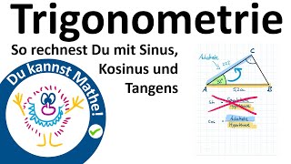 Sinus und Kosinus am Einheitskreis  Trigonometrie einfach erklärt [upl. by Stephen696]