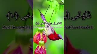 Beautiful Recite Surah alNajm by little cute girl [upl. by Ahsiuqat]