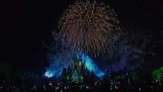 Happily Ever After Fireworks Magic Kingdom Orlando Florida August 19th 2024 [upl. by Naegem]