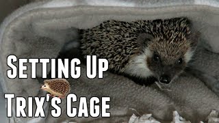 My New Hedgehogs Cage Tour [upl. by Aurita]