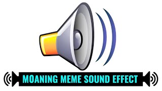 Loud Moaning MEME Sound Effect 1 Hour [upl. by Dachia]