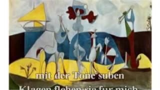 Serenata De Franz Schubert [upl. by Honor]