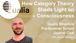 Qualia Structure PreSummer School Journal Club  by James Sanders on Taguchi amp Saigo 2023 [upl. by Ahsiam]