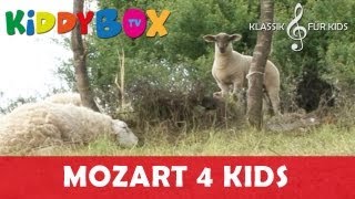 Mozart Bach Chopin  Klassik für Kinder  Entspannung in der Natur KIDDYBOXTV [upl. by Ddet]