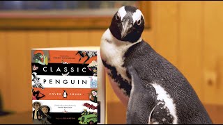 A Real Penguins quotInternshipquot at Penguin Random House [upl. by Bernelle]