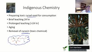 Methods for dissolution of toxins from cycad seeds  Equilibrium  meriSTEM [upl. by Verner361]