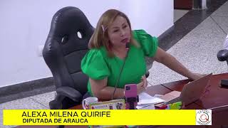 LOS ARAUCANOS NO TENEMOS NADA QUE AGRADECERLES A EMPRESAS PETROLERAS QUE GARANTIZARÁN LA ENERGÍA [upl. by Albur927]