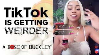 PinkyDoll amp the TikTok NPC Trend  A Dose of Buckley [upl. by Madonna]