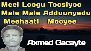 gacayte  Axmed gacayte meel loogu toosiyo  male male aduunyadu  gacayte hees milic iyo mahiigan [upl. by Ahcatan]