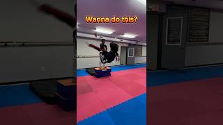 WANNA DO THIS taekwondo martialarts tkdaction funny challenge [upl. by Fernando446]