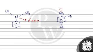 A positive carbylamine test is given by [upl. by Schlicher262]